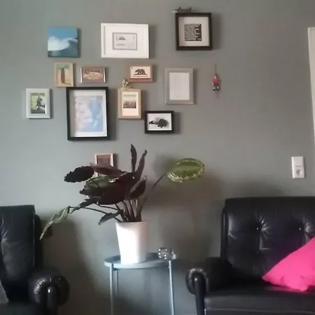 Great Cozy Self Check In Apartment